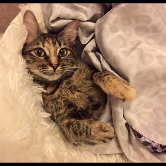 Meet your Posher, Stephanie - Picture 3 of 7